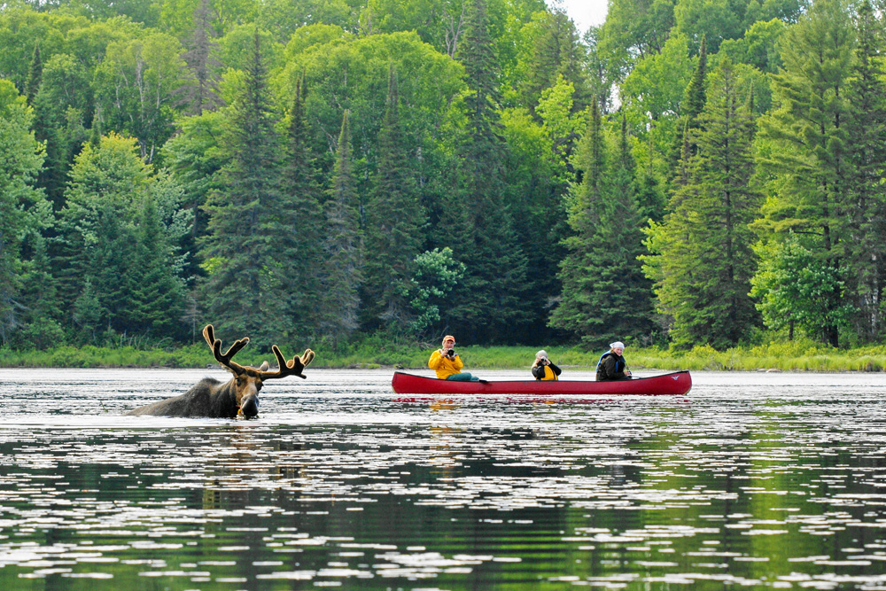 Holidays to Ontario - Algonquin Provincial Park