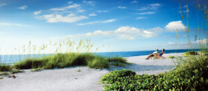 Fly Drive USA - Florida