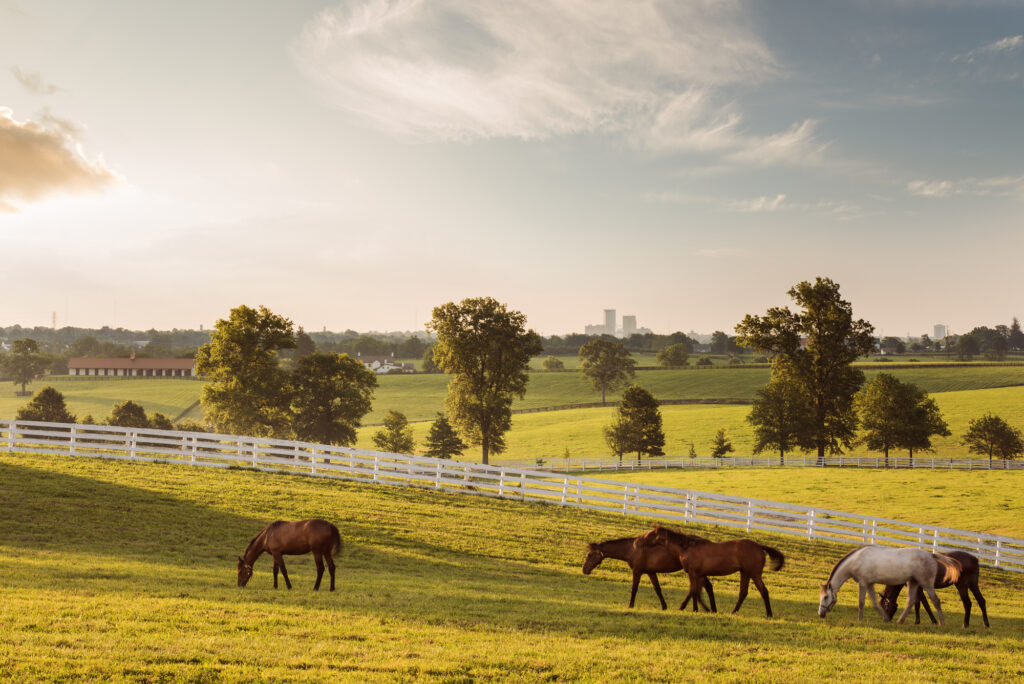 Kentucky Holidays Darby Dan Horse Farm.