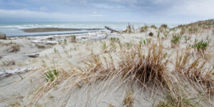 Haida Gwaii Beach - Haida House - Holidays to Northern British Columbia