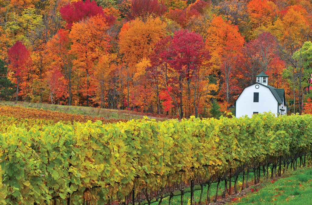 Holidays to Ontario USA - Niagara on the lake Ontario