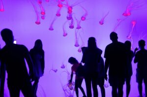 Ripley's Aquarium - Holidays to Toronto, Ontario