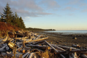 Haida Gwaii Beach - Haida House - Holidays to Northern British Columbia