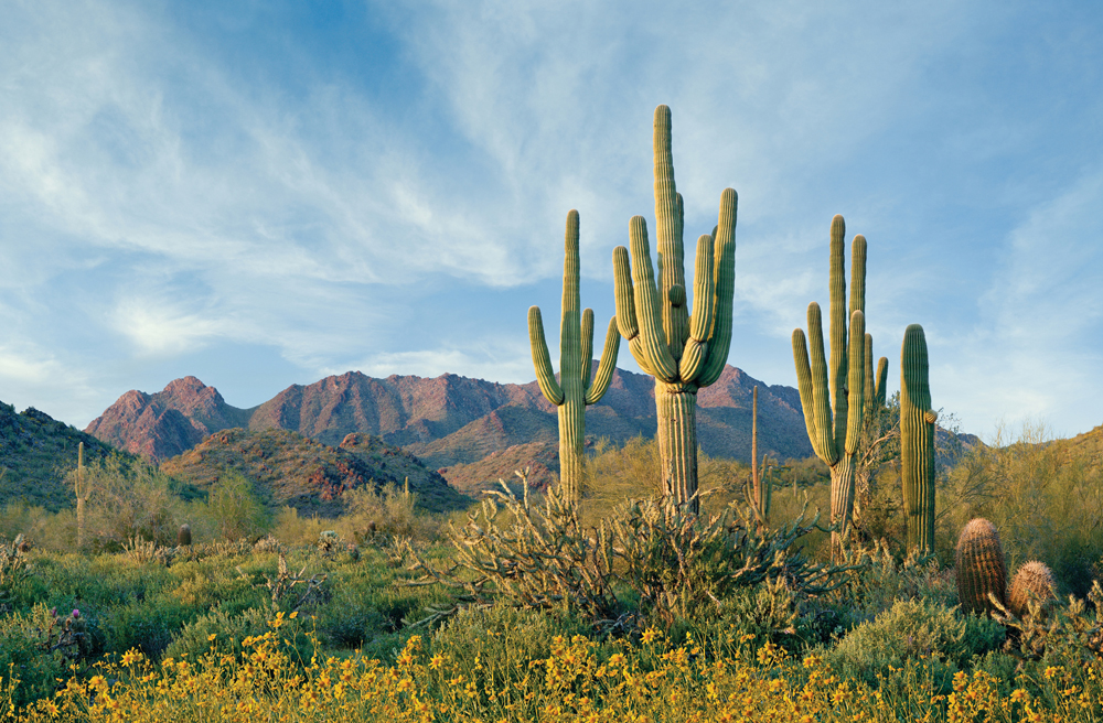 Fly Drive USA - Arizona