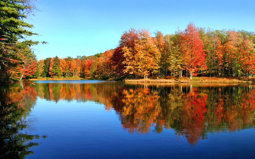 Cove Haven, Pocono Region Pennsylvania
