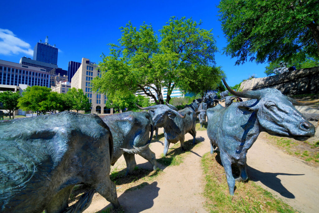 Fly Drive USA - Texas