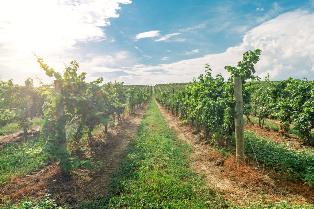 Holidays to Ontario - Niagara on the lake