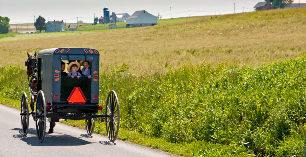 Horse and buggy in Amish Country - Holidays to Pennsylvania