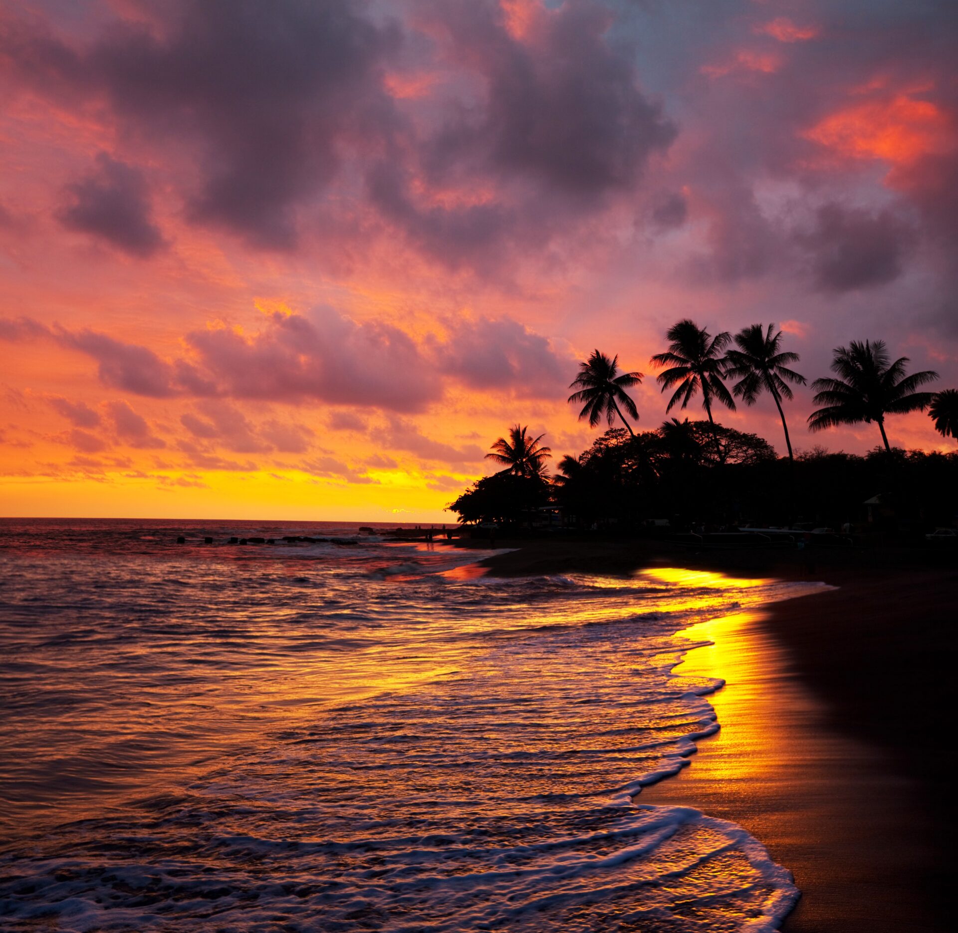 Help make us Best Travel Company to the USA