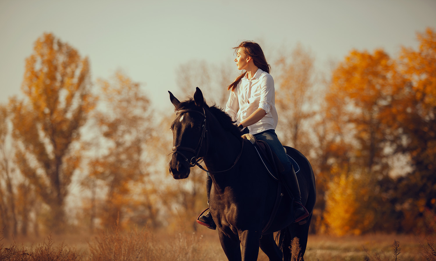 Ride. Relax. Explore.